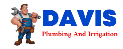 Trusted plumber in LAZEAR